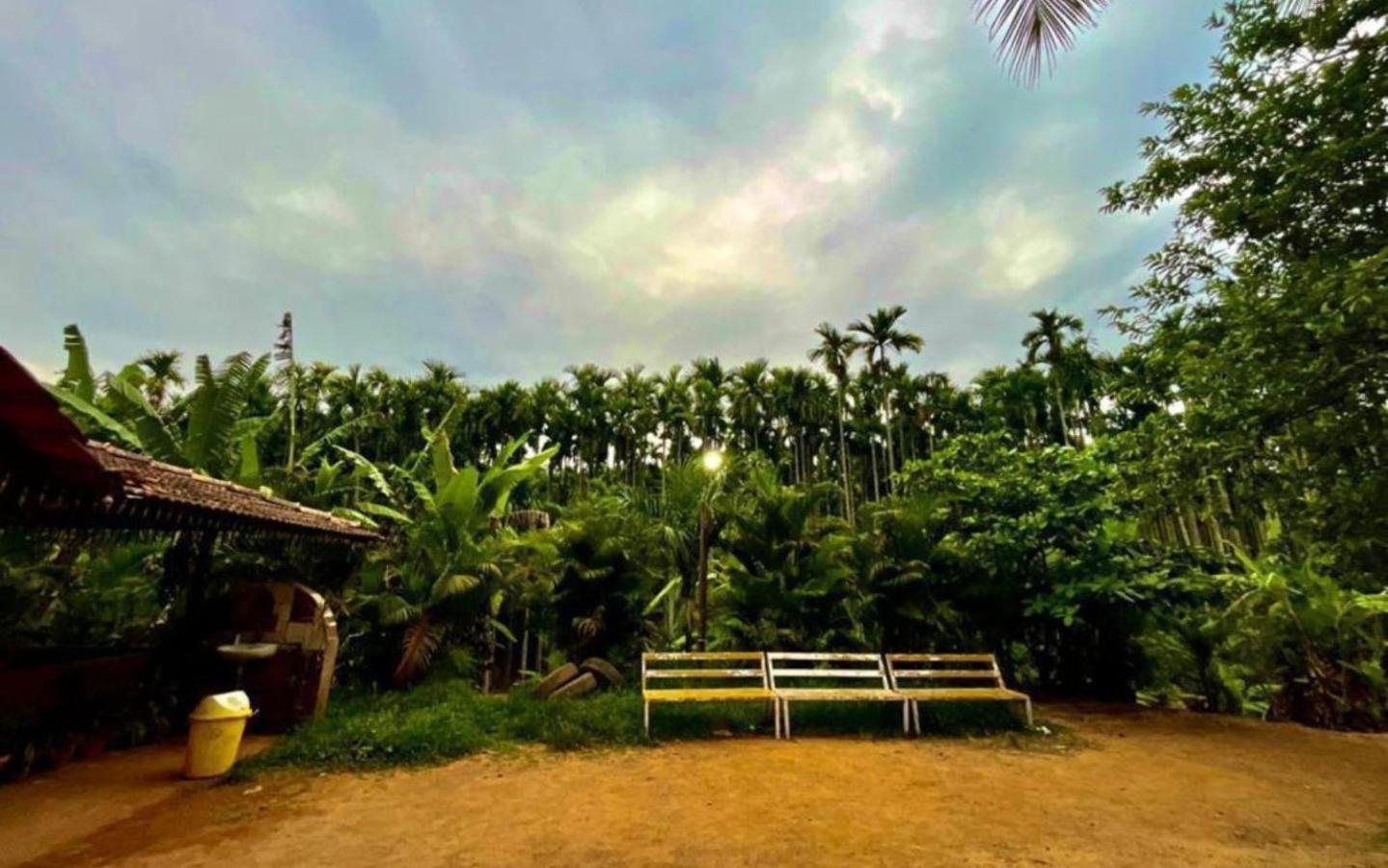 Pepper Paradise By Stayapart Dandeli Exteriör bild