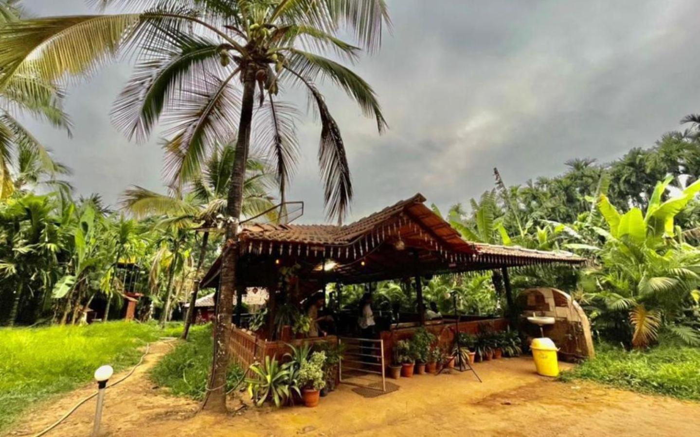 Pepper Paradise By Stayapart Dandeli Exteriör bild